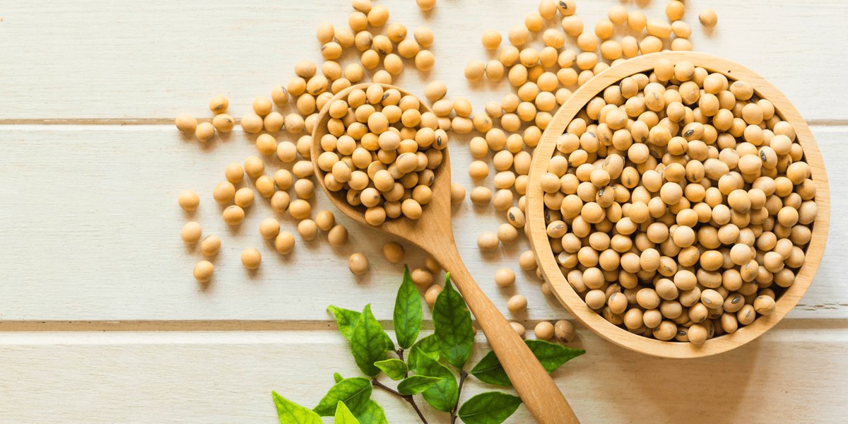 La soja en la menopausia: un aliado para los huesos